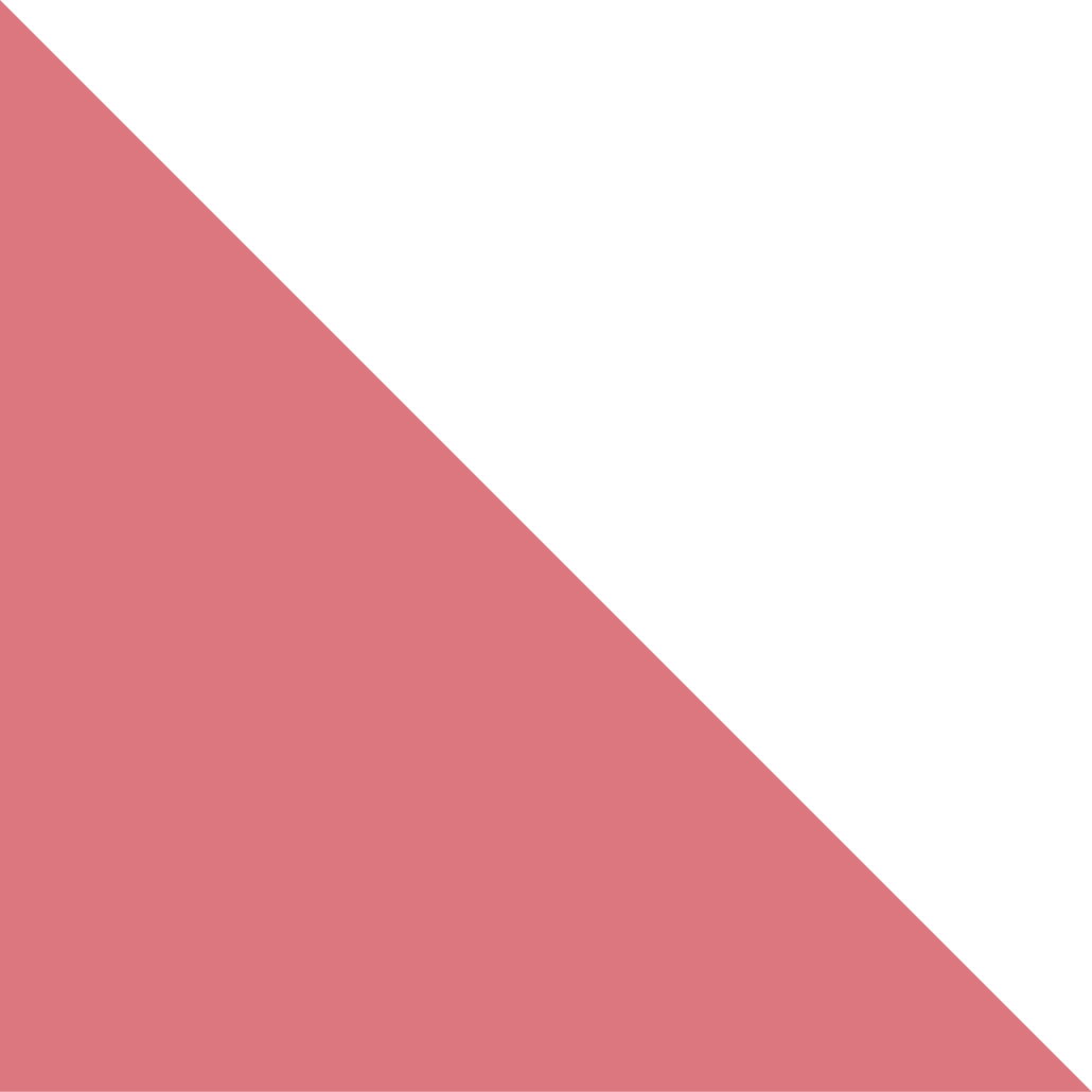 red triangle in bottom left corner